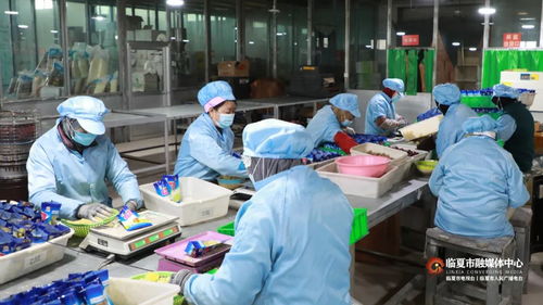 春節訂單激增 臨夏鄉村就業工廠沖刺開門紅