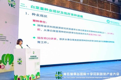 小種子撬動大產(chǎn)業(yè)——第五屆邢臺國際十字花科蔬菜產(chǎn)業(yè)大會啟帷